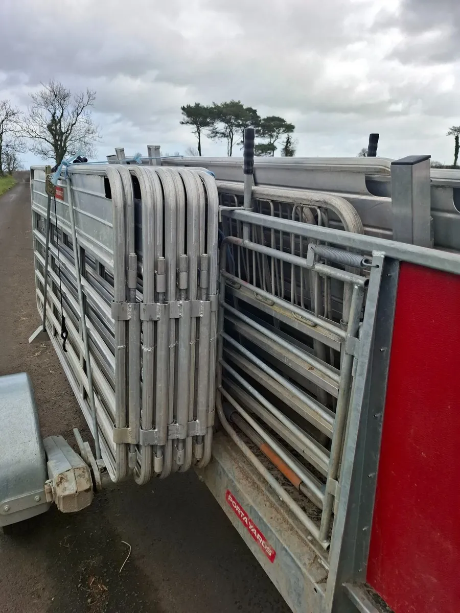 Portayards - have been a game changer! - Image 2