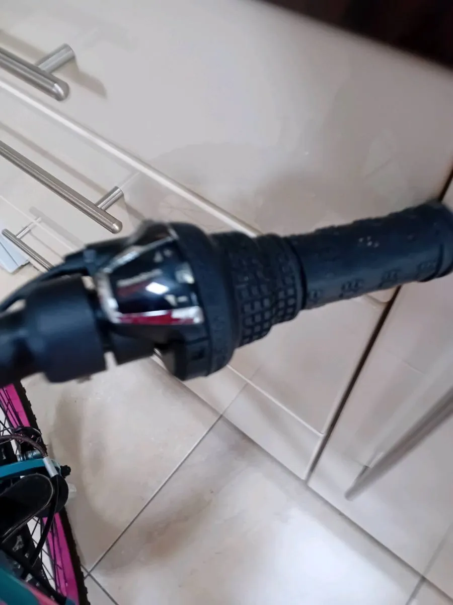 GIRLS BICYCLE 20 INCH WHEELS - Image 2