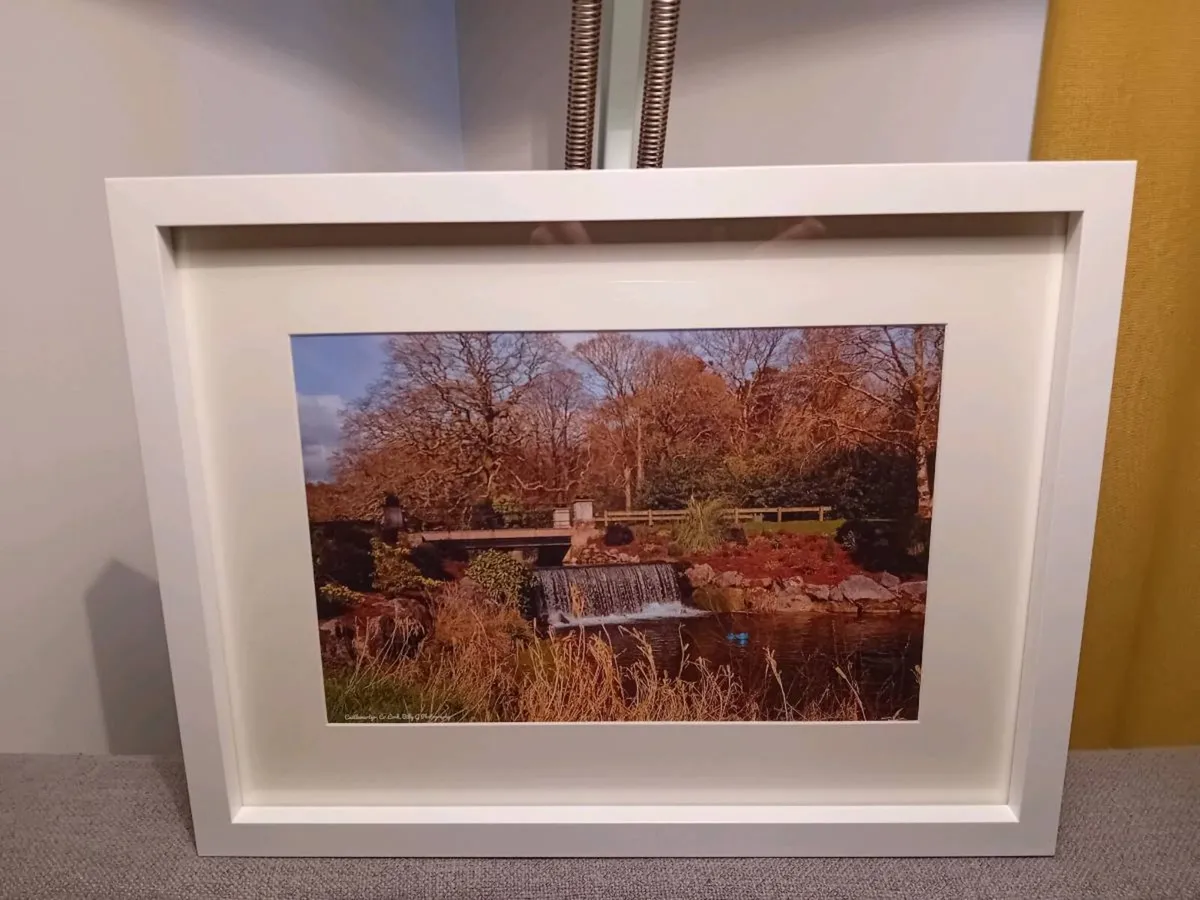 Castlemartyr Castle And Gardens - Image 3