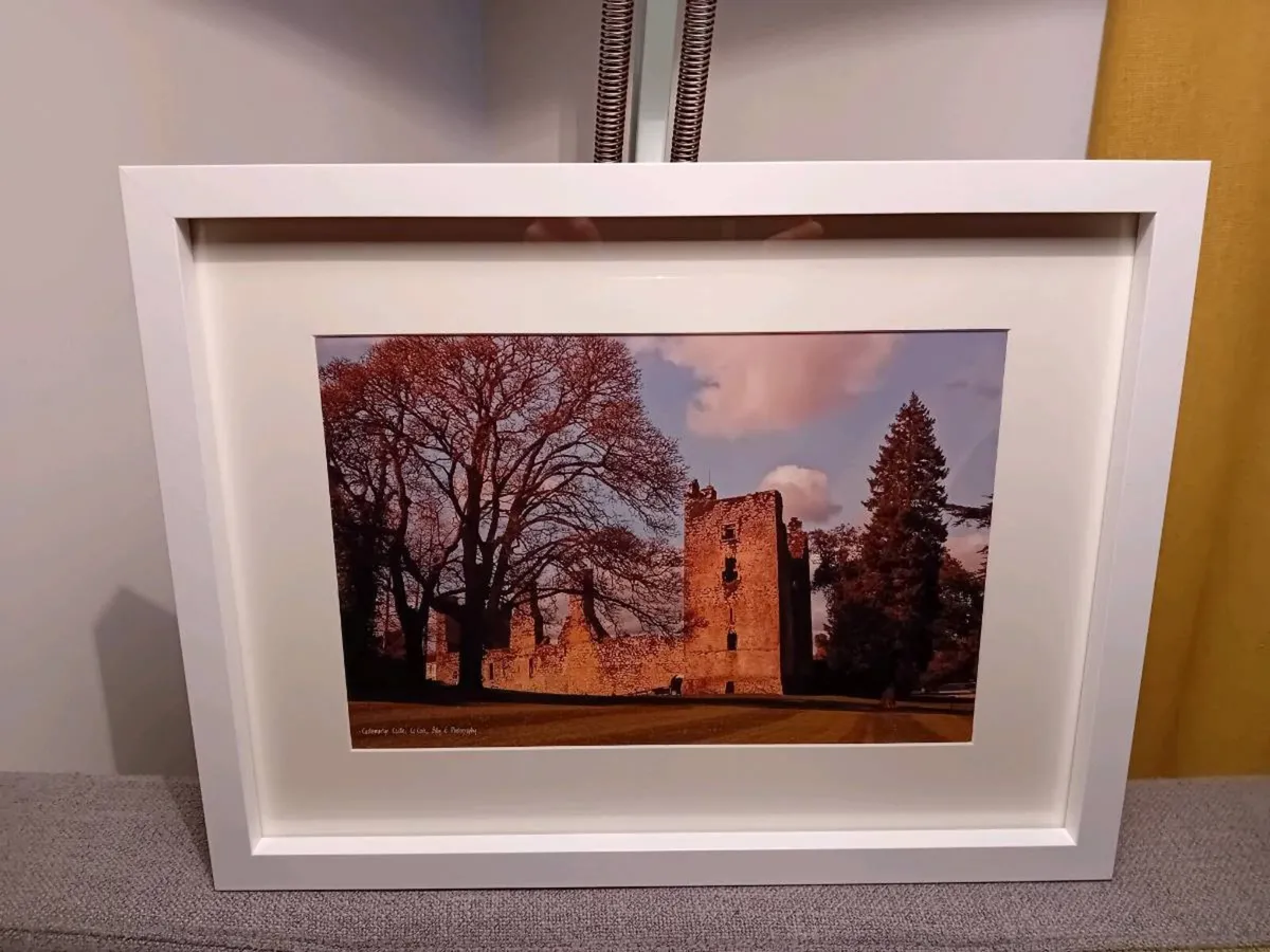 Castlemartyr Castle And Gardens - Image 4