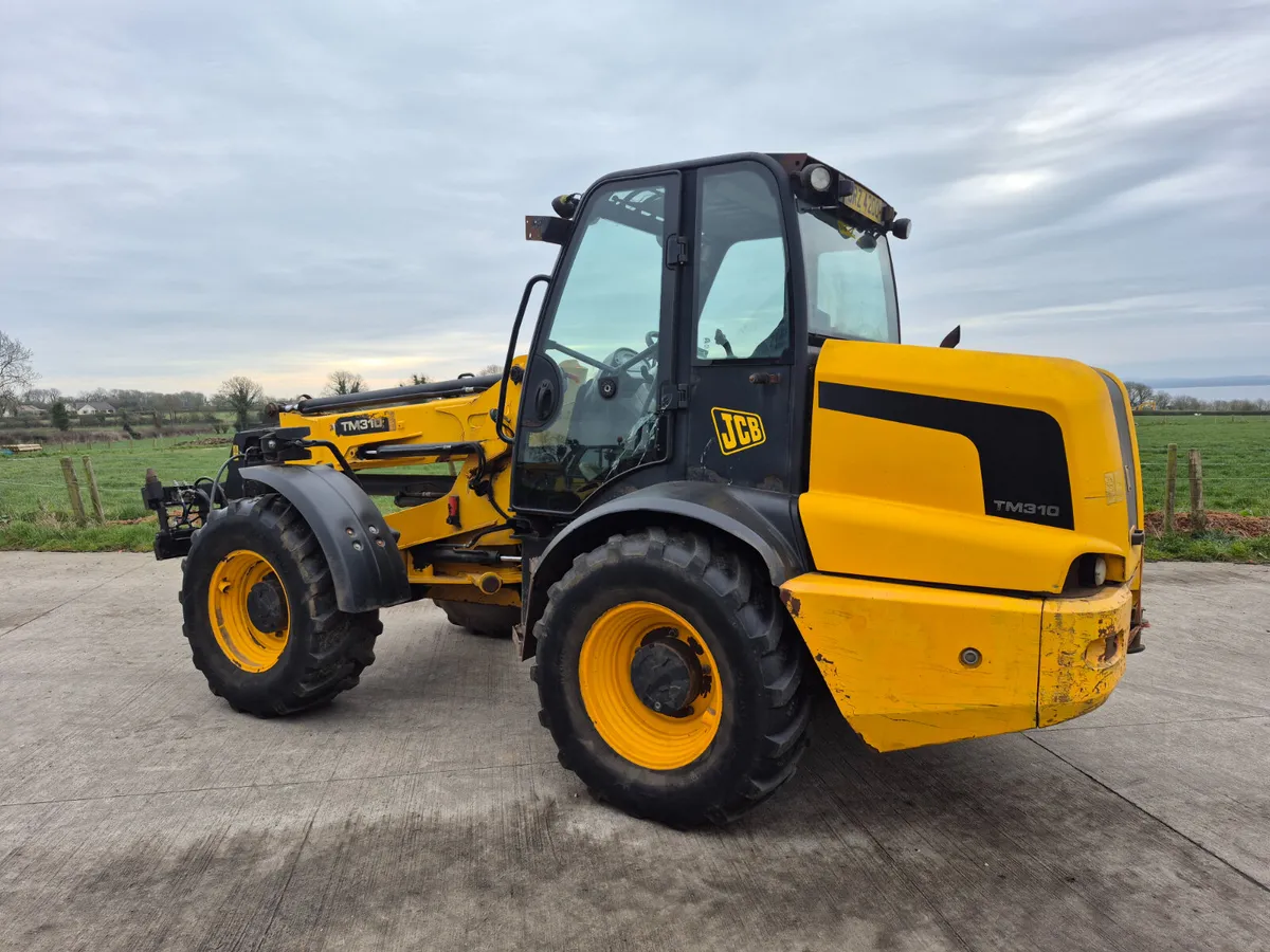 JCB 310 - Image 3