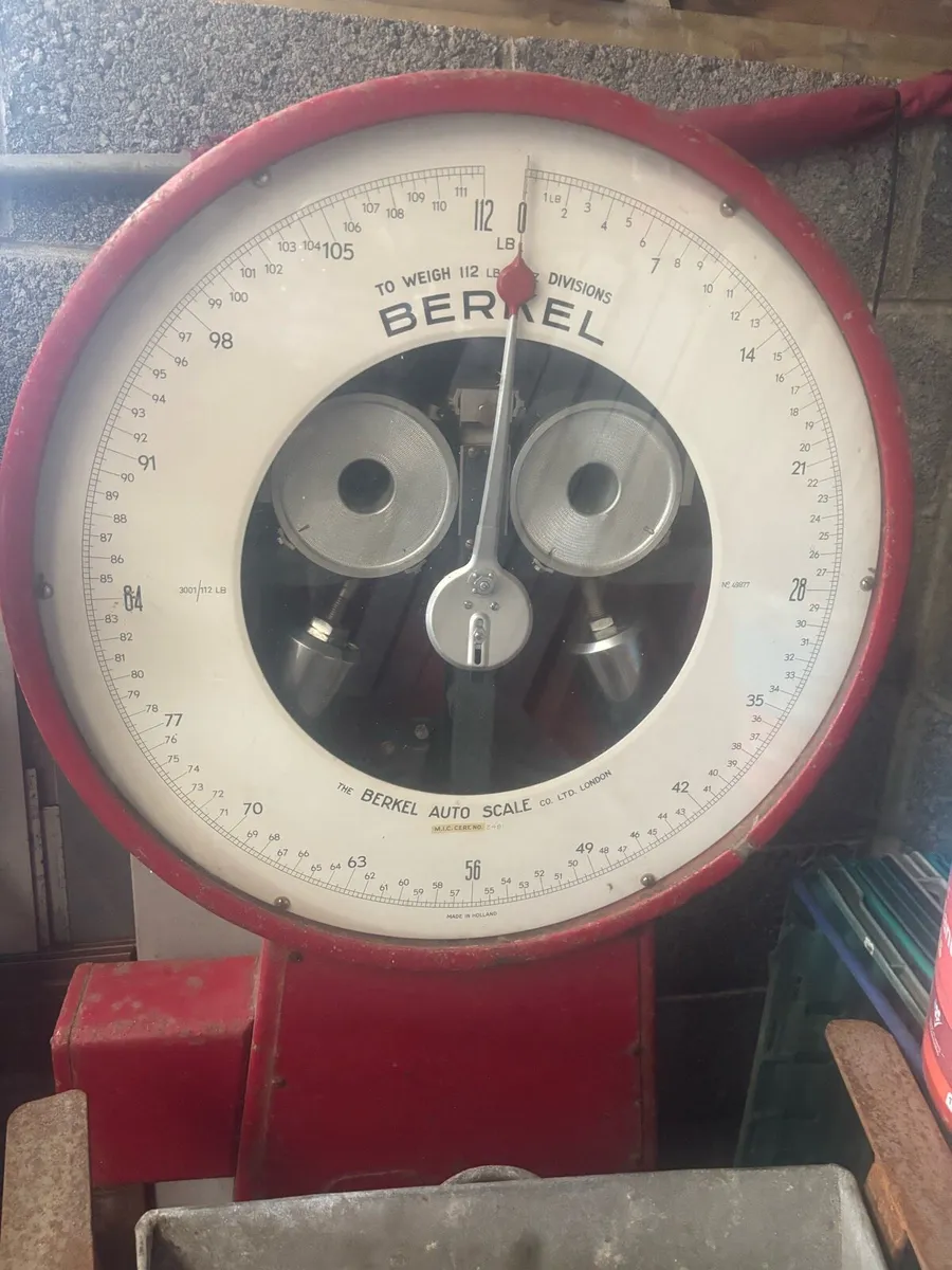 Berkel auto scale - Image 1