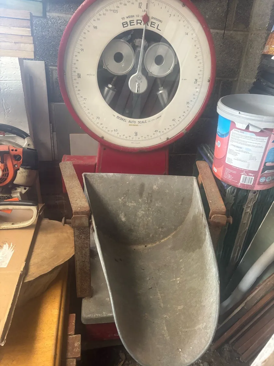 Berkel auto scale - Image 2