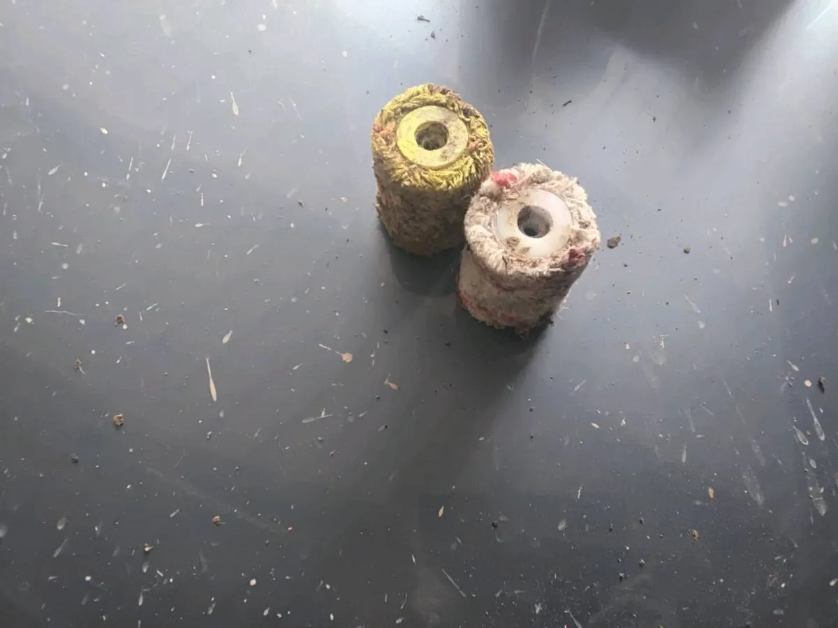 Tail paint - Image 2