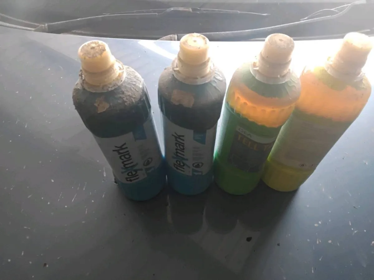 Tail paint - Image 4