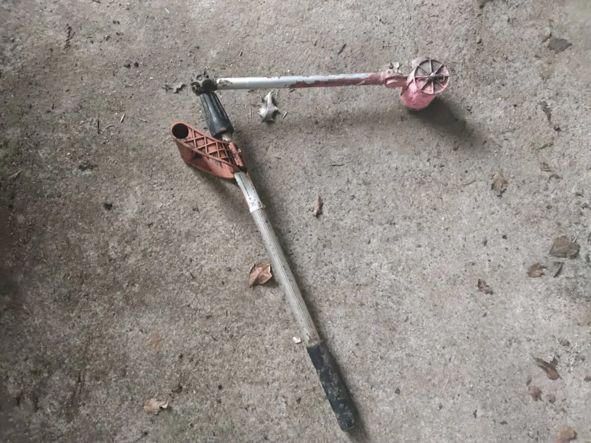 Tail paint - Image 3