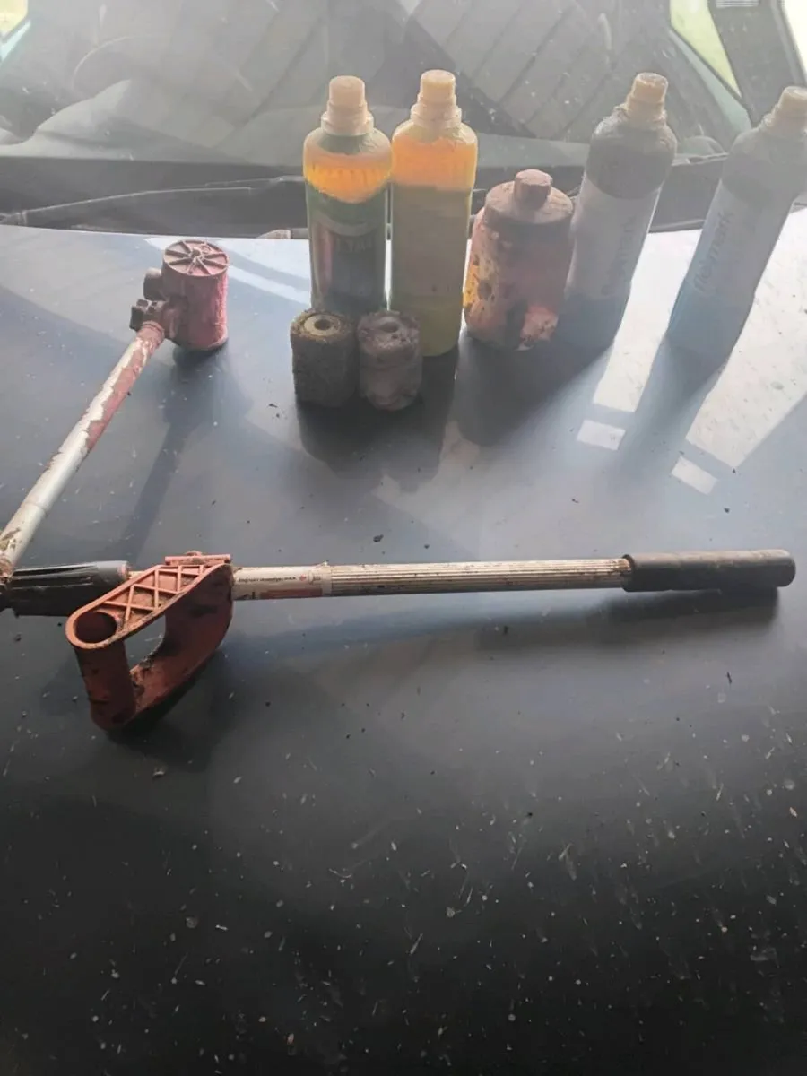 Tail paint - Image 1