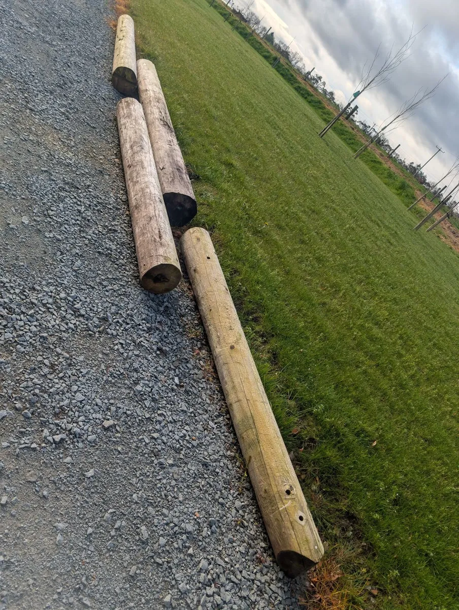 ESB Poles - Image 3