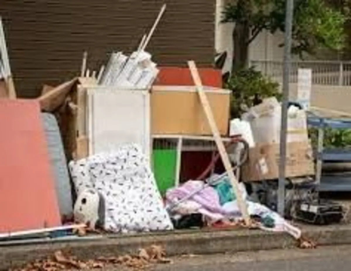 Rubbish removal / garden clearance - Image 1