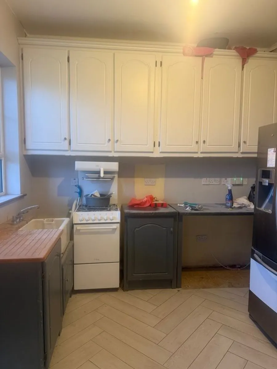 Utility room cupboards - Image 3