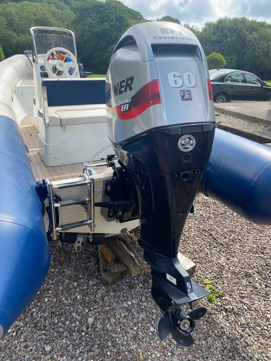 Vanguard 500 Rib - Image 4