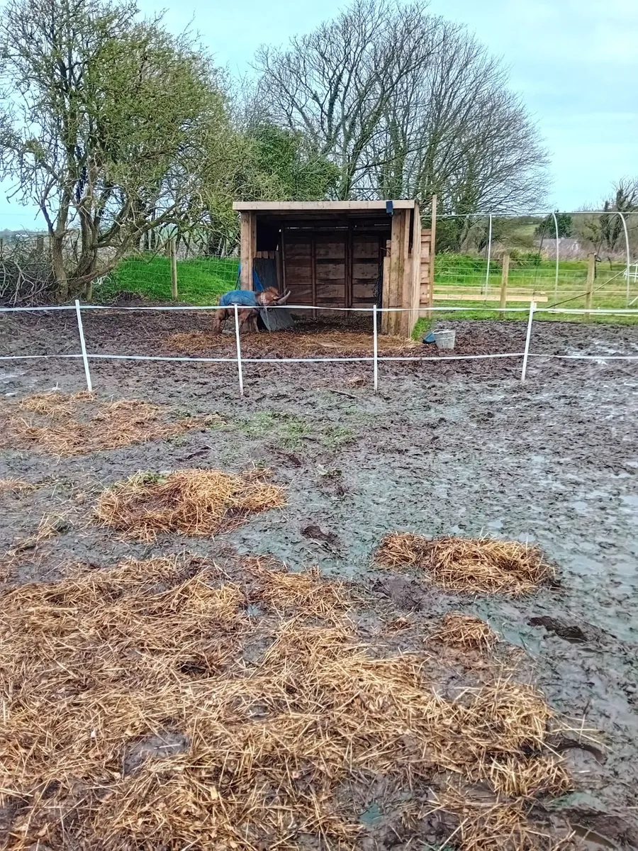 Fram animals - Image 1