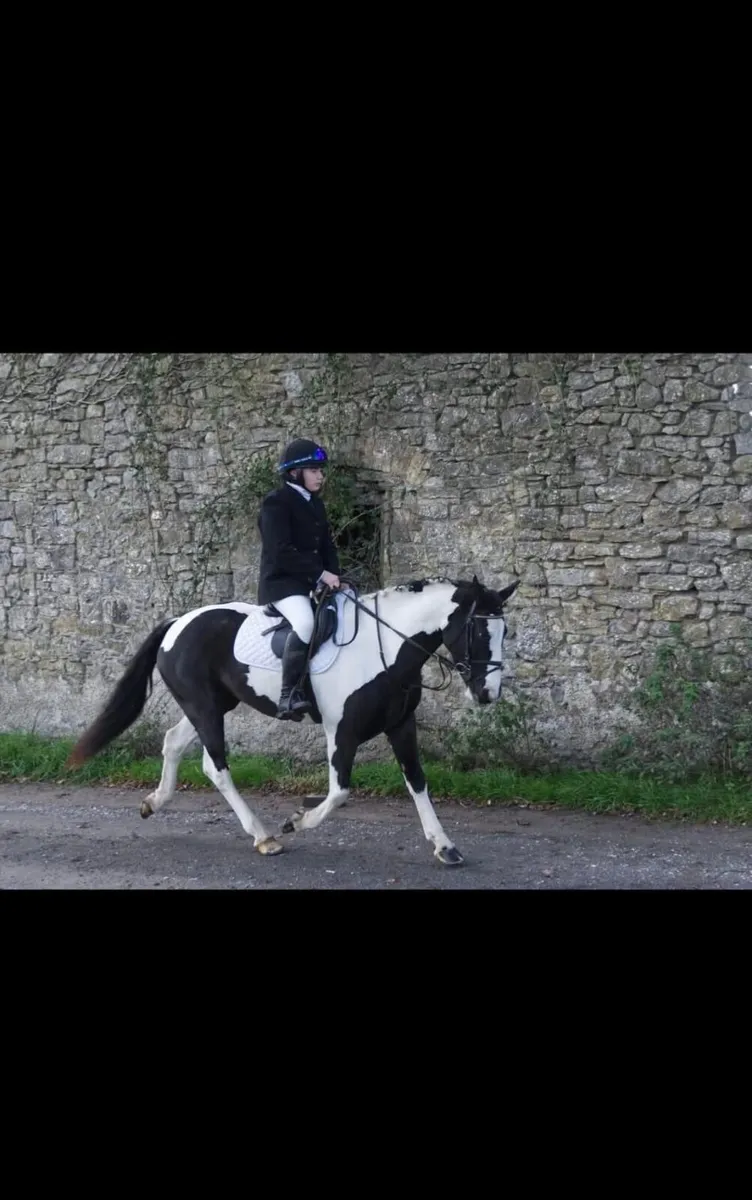 One in a million pony - Image 2