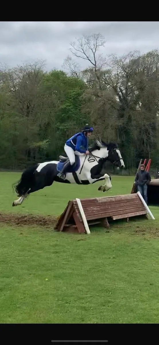 One in a million pony - Image 3