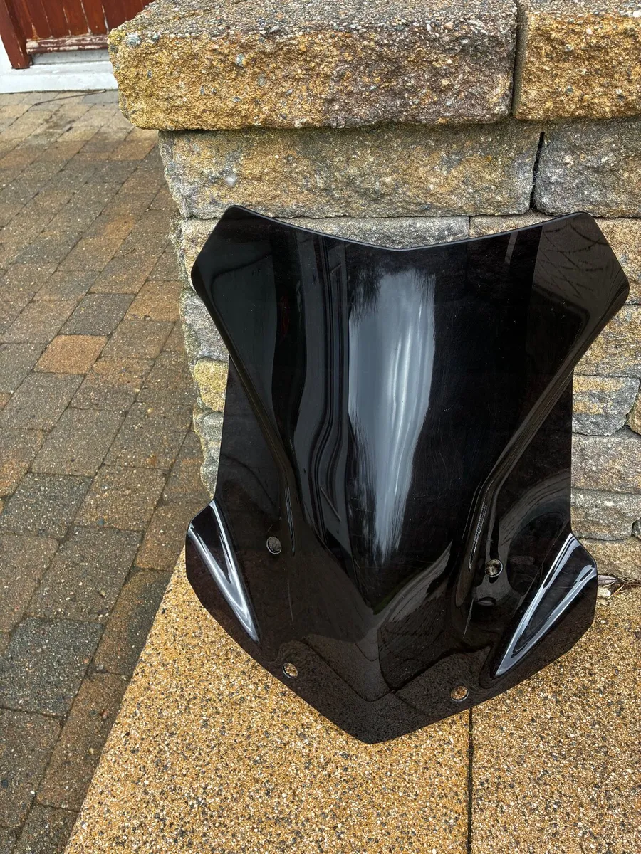 BMW R1200 GS / R1250 GS Mudsling and Screen - Image 3