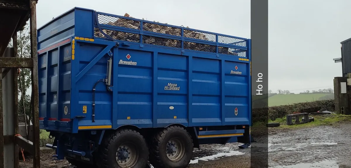 Wanted bulk loads Ash Firewood - Image 1