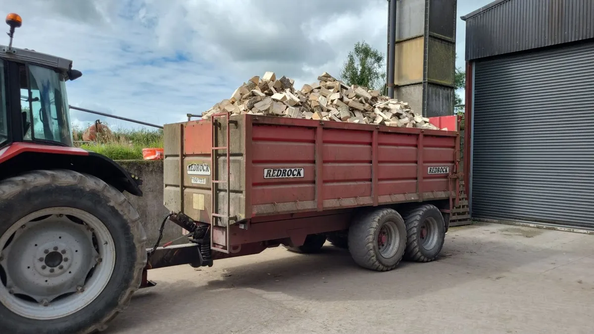 Wanted bulk loads Ash Firewood - Image 3