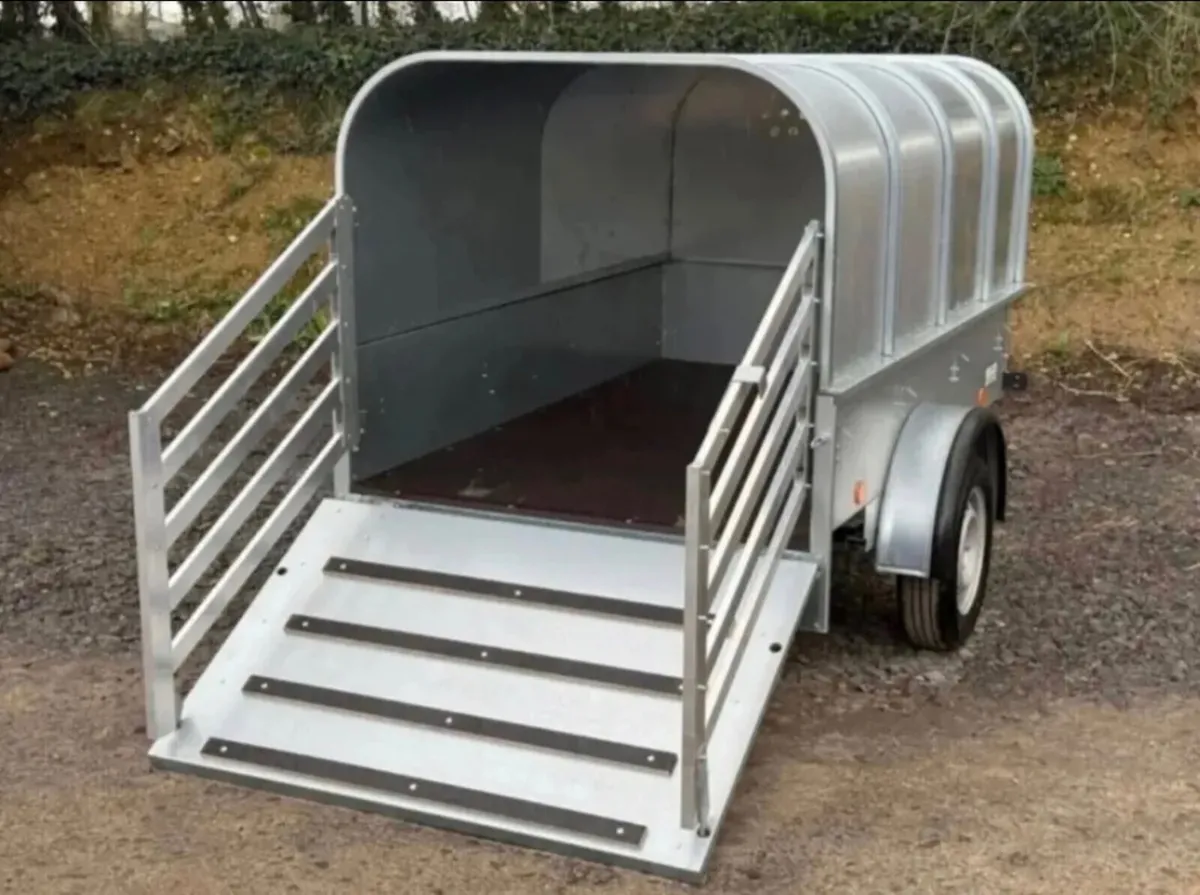 YOUNGSTOCK TRAILER 7x4 NEW A STAR - Image 2