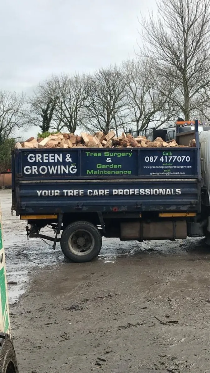 Seasoned Firewood - Image 1