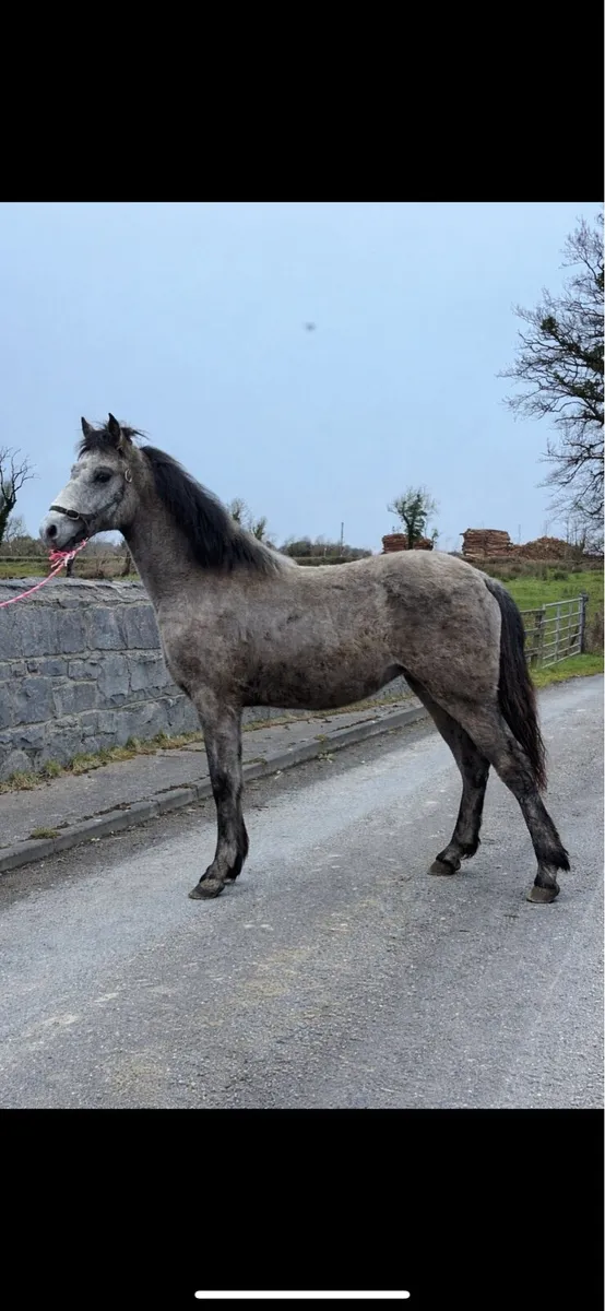 Stunning Connemara - Image 1