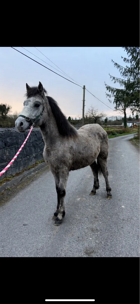 Stunning Connemara - Image 2