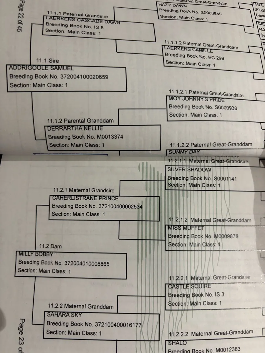 Stunning Connemara - Image 4