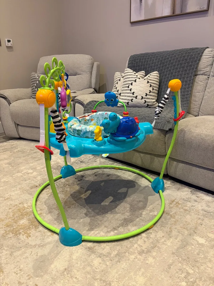 Baby Einstein Ocean Explorers Jumper - Image 2