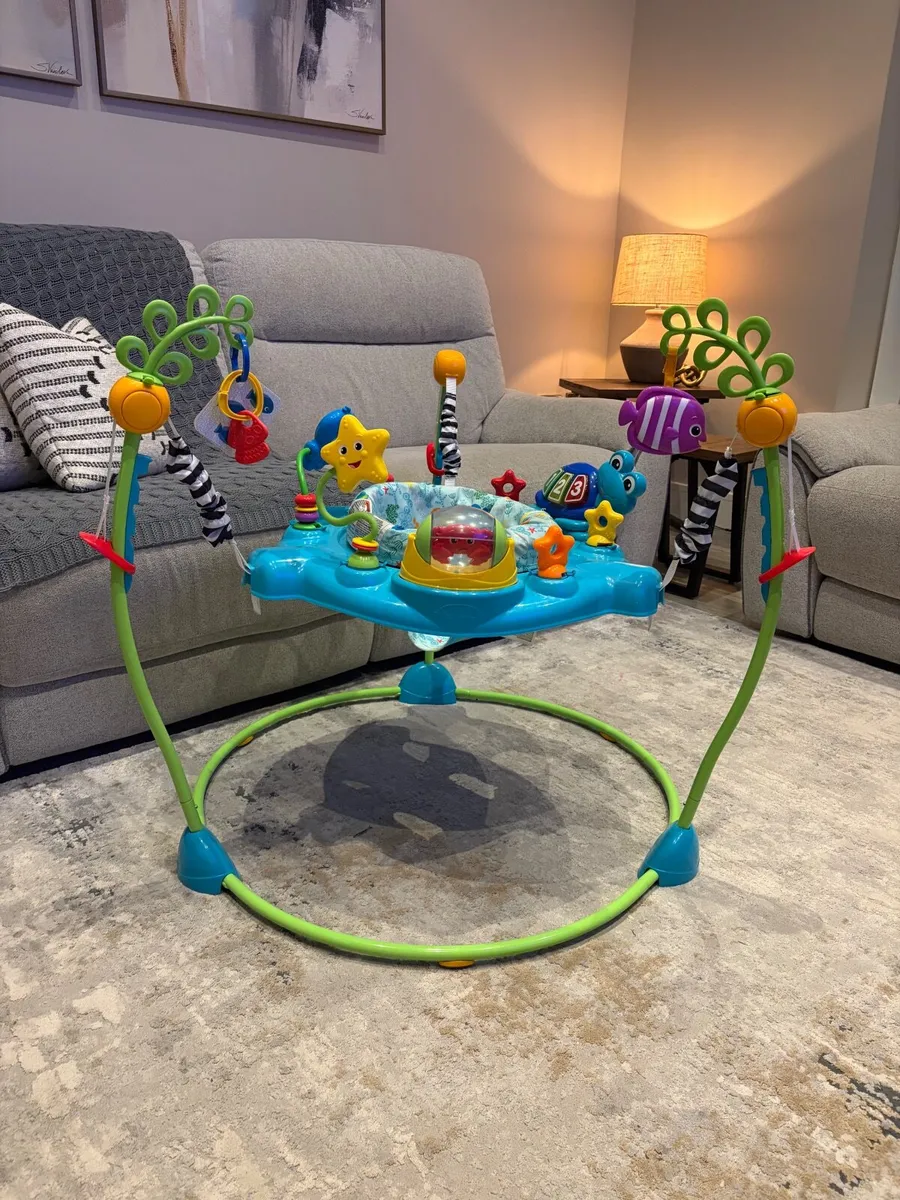 Baby Einstein Ocean Explorers Jumper - Image 3