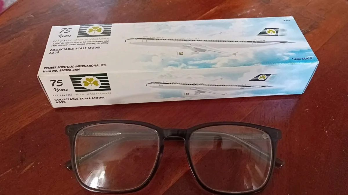 Aer Lingus A320 1/200 scale vintage livery - Image 2