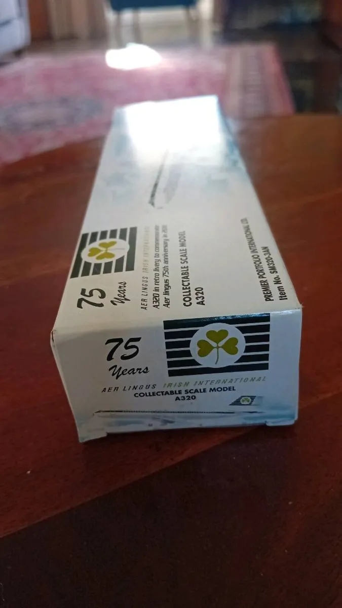 Aer Lingus A320 1/200 scale vintage livery - Image 3