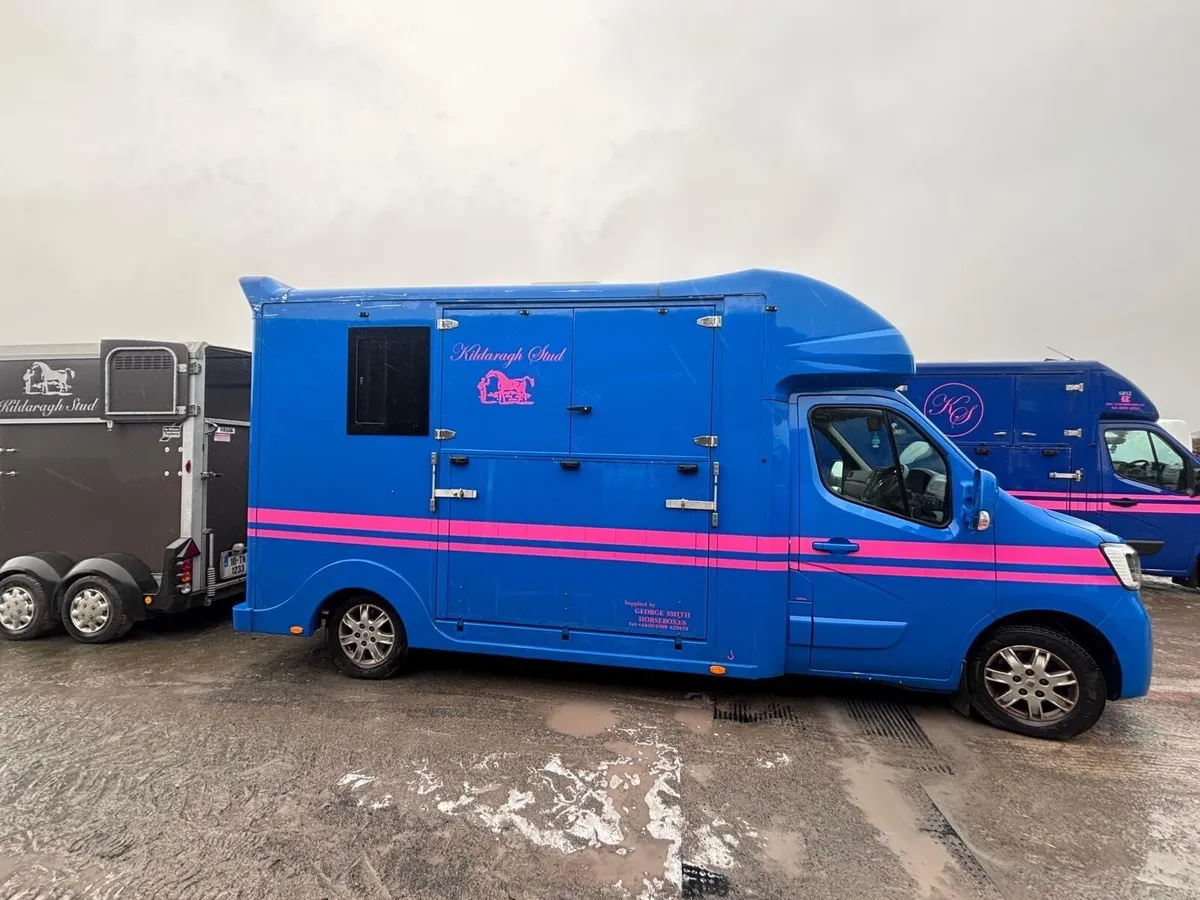 2023 Renault Horse 2box - Image 2