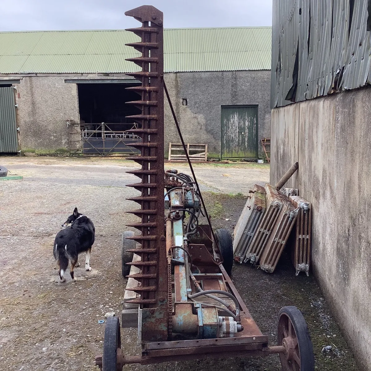 Those vintage heage cutter - Image 2