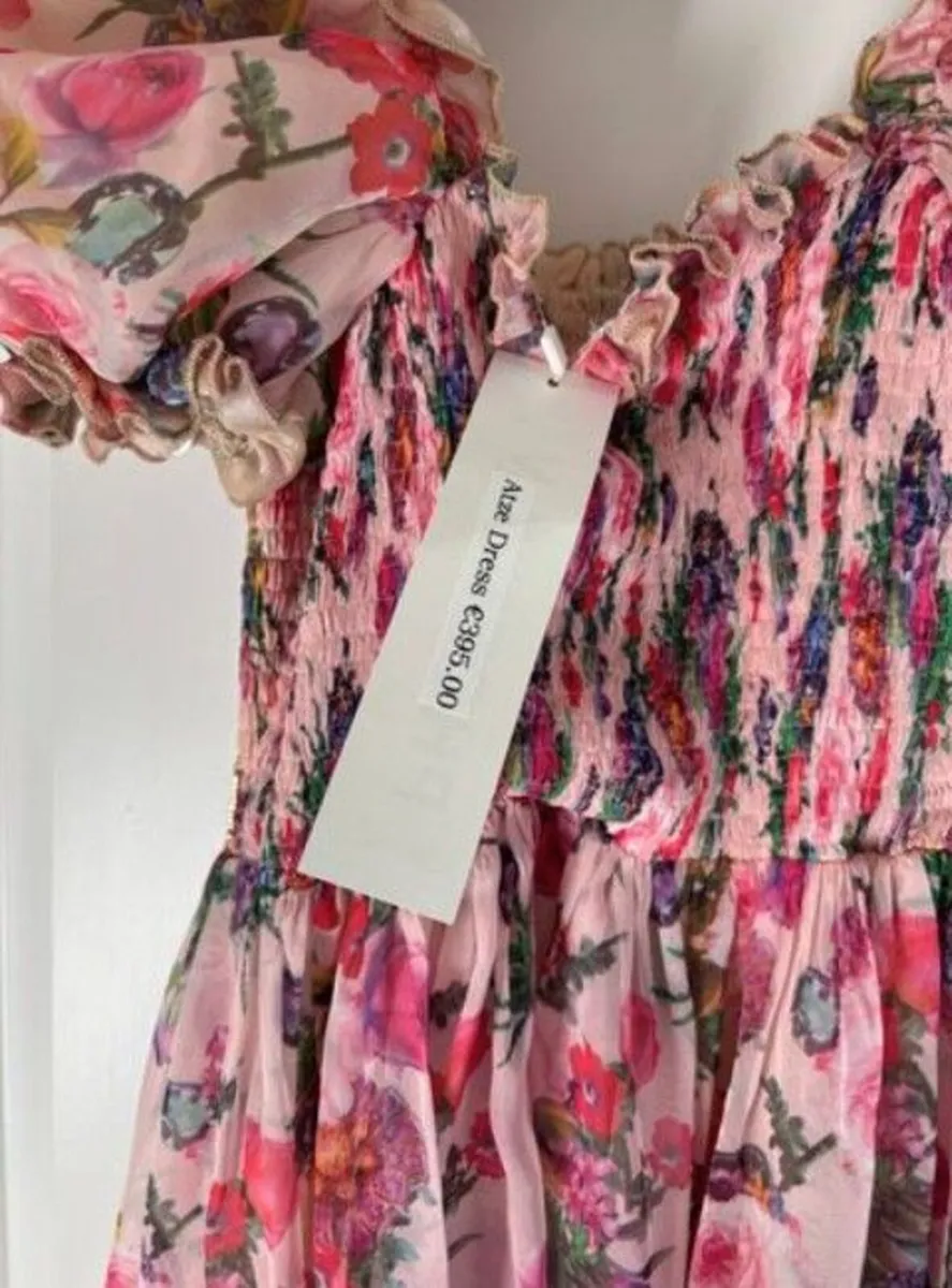 Phoenix V Atze Dress - Image 4