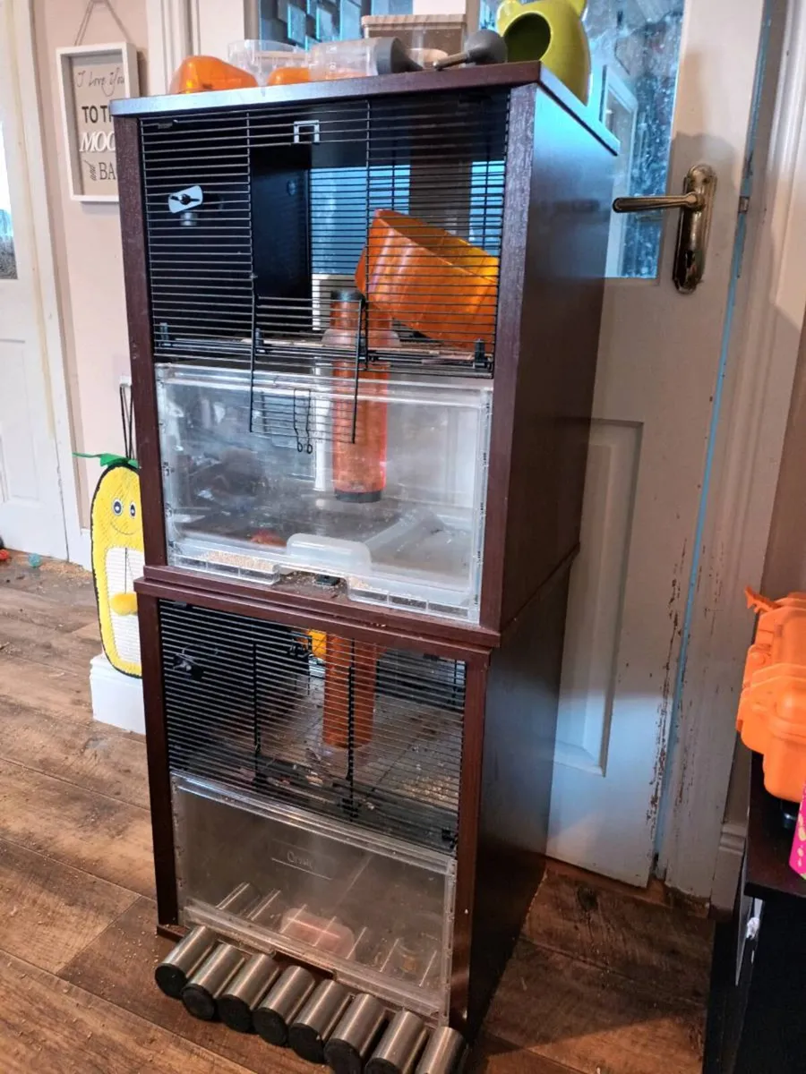 Gerbil Tanks and Guinea pig Cage. - Image 1