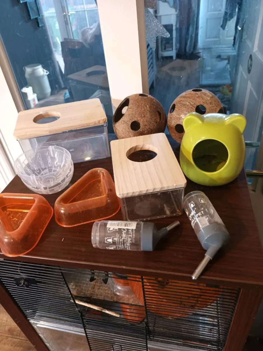 Gerbil Tanks and Guinea pig Cage. - Image 2