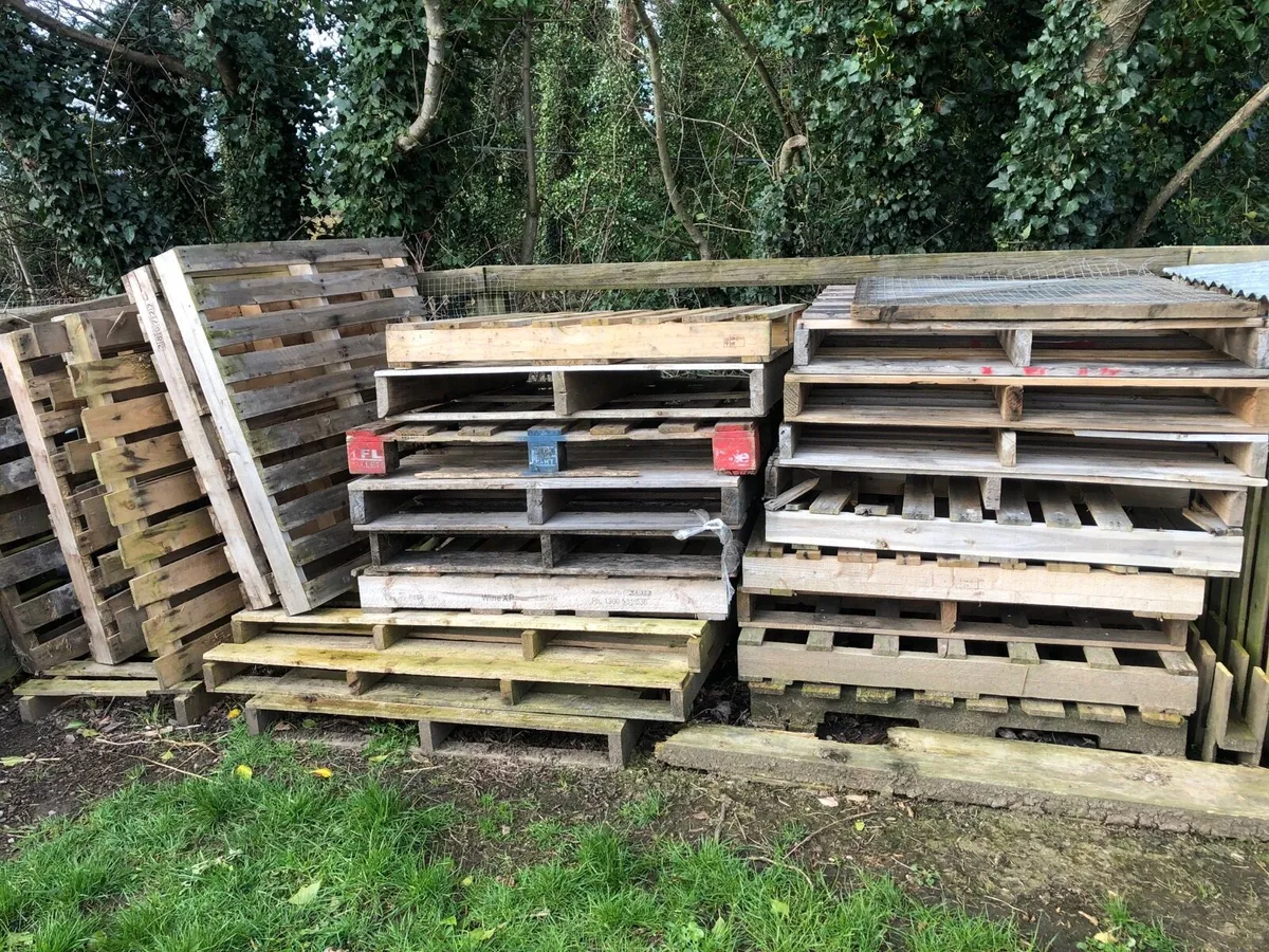 Pallets Free to take away - Image 4