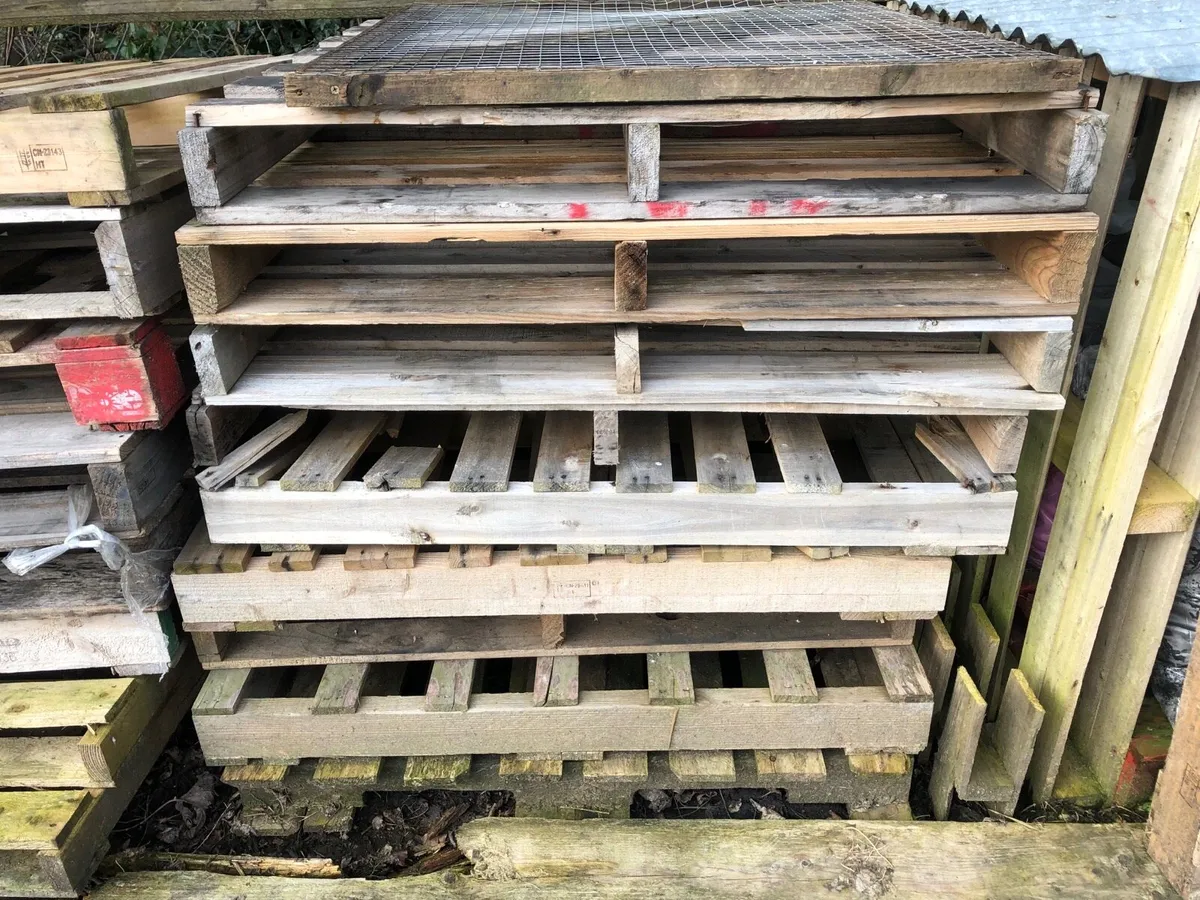 Pallets Free to take away - Image 2