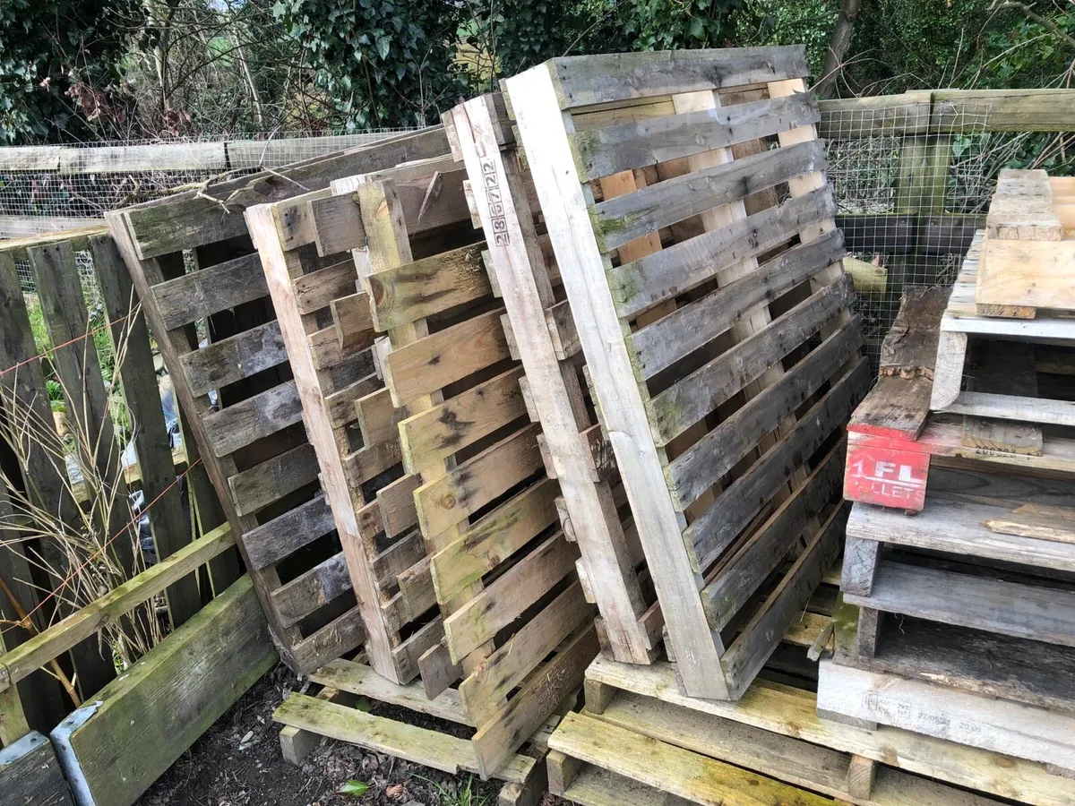 Pallets Free to take away - Image 3