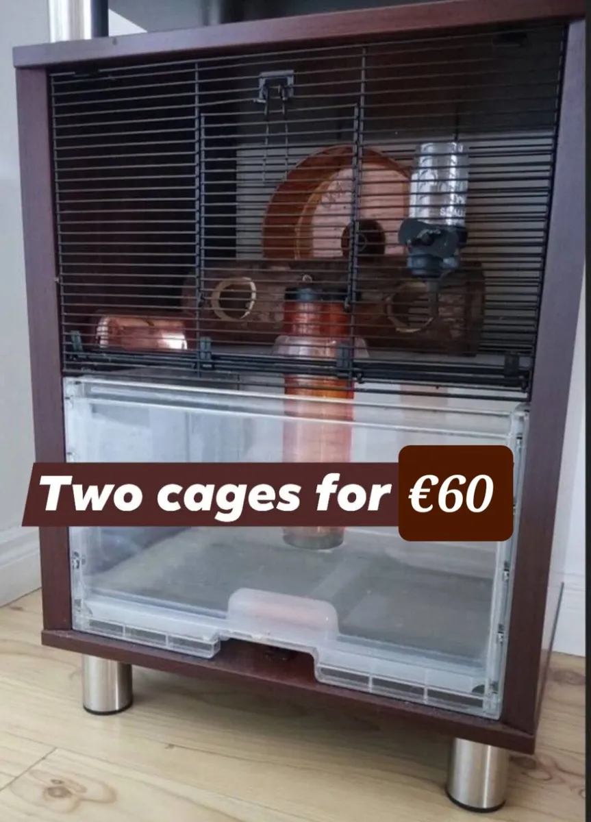 Gerbil Tanks and Guinea pig Cage. - Image 3