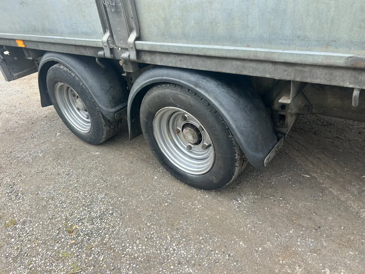 Ifor Willis 10x5.6 Dropside Trailer - Image 2