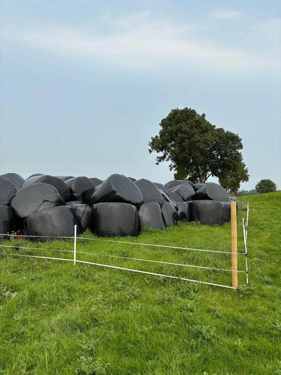 Silage
