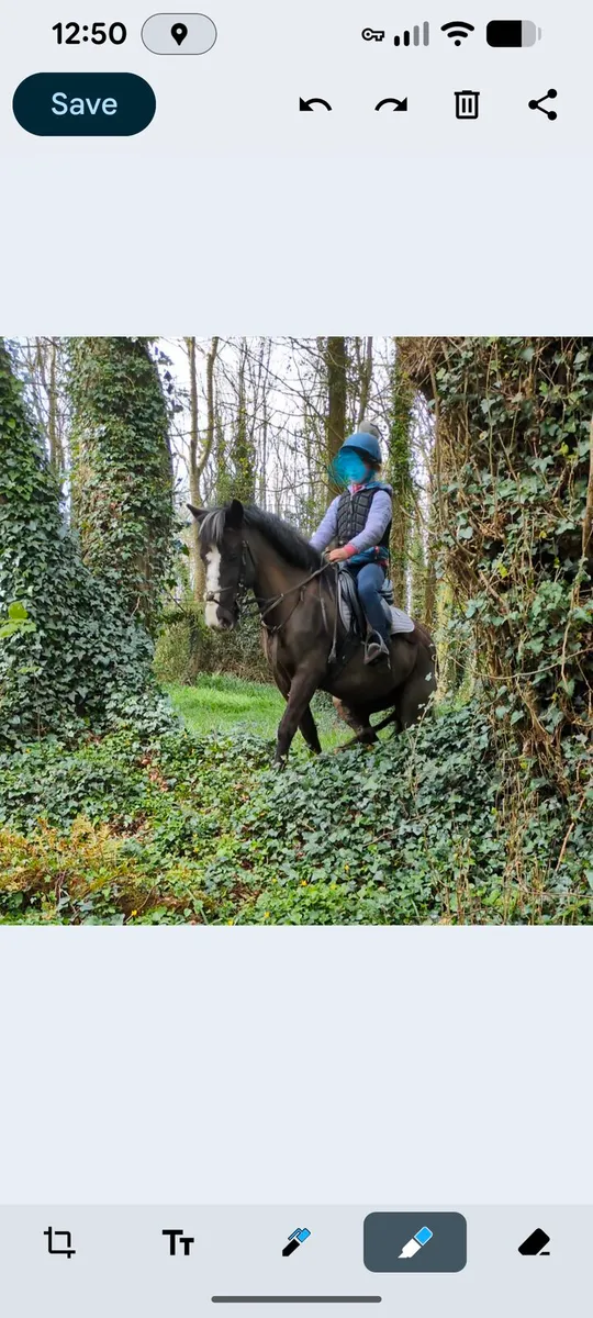 Hunting Pony - Image 1