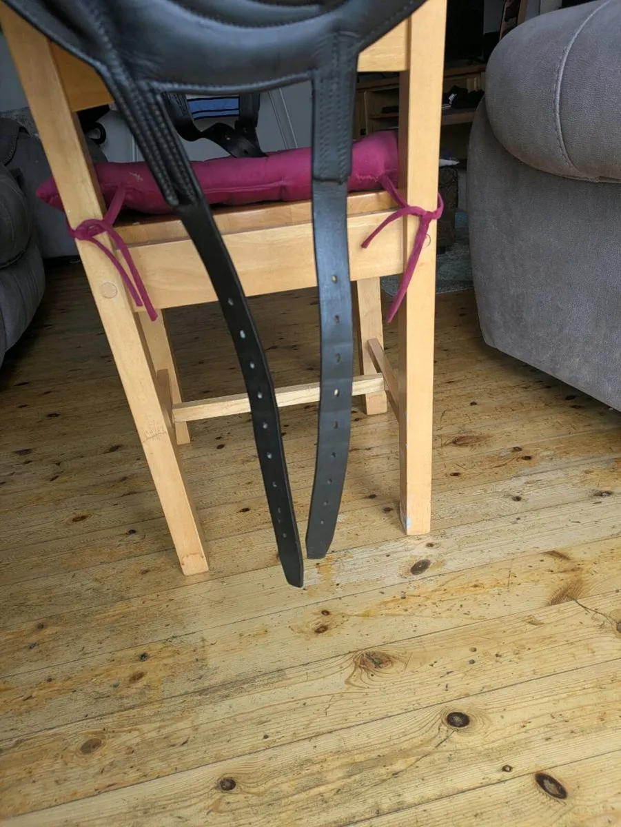 Antares Black Monoflap Dressage Saddle - Image 3