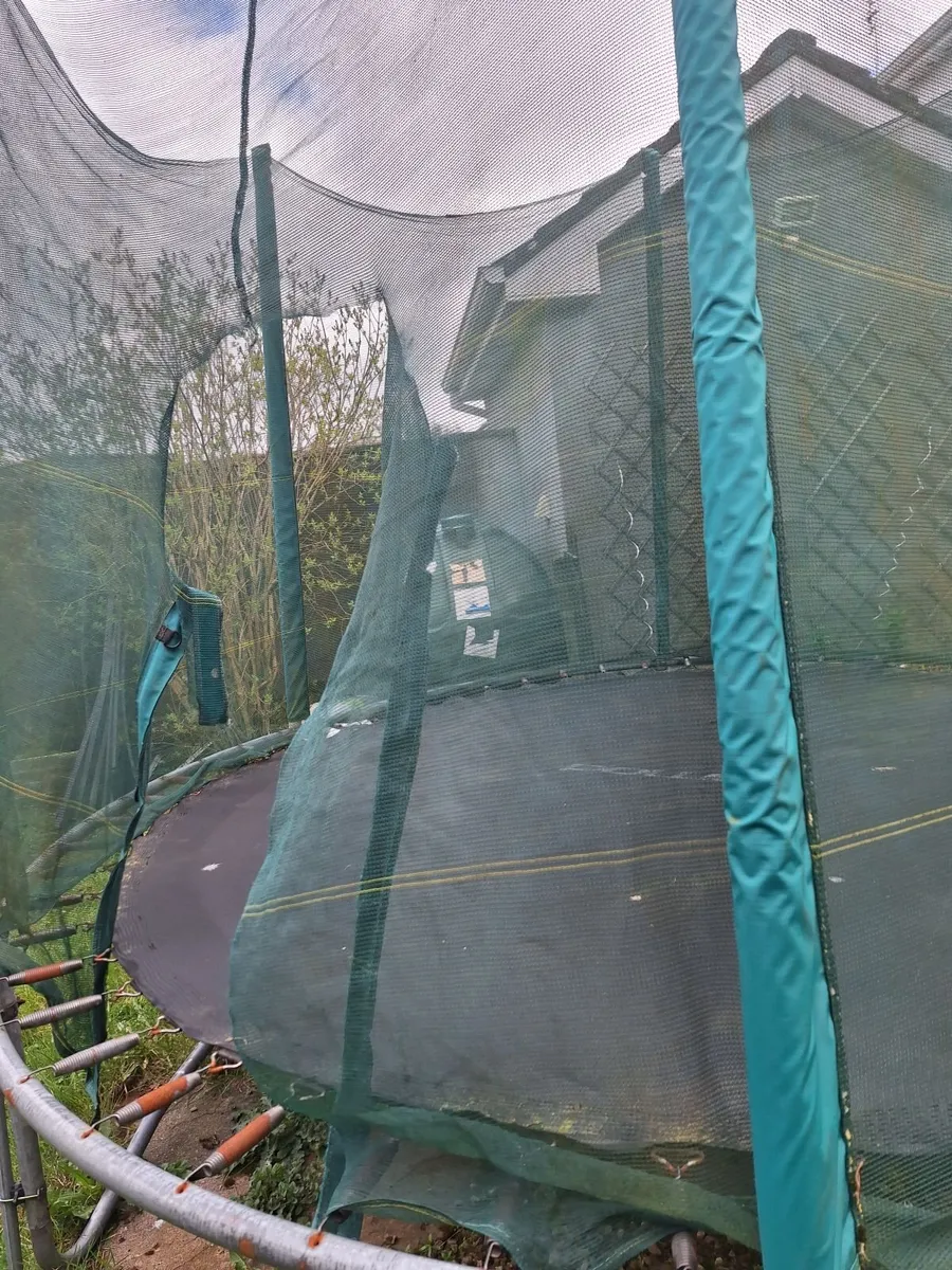 Trampoline - Image 1