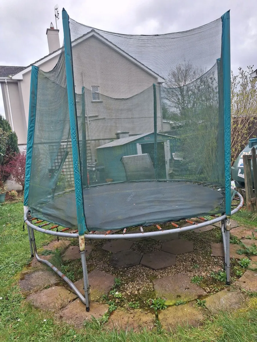 Trampoline - Image 2