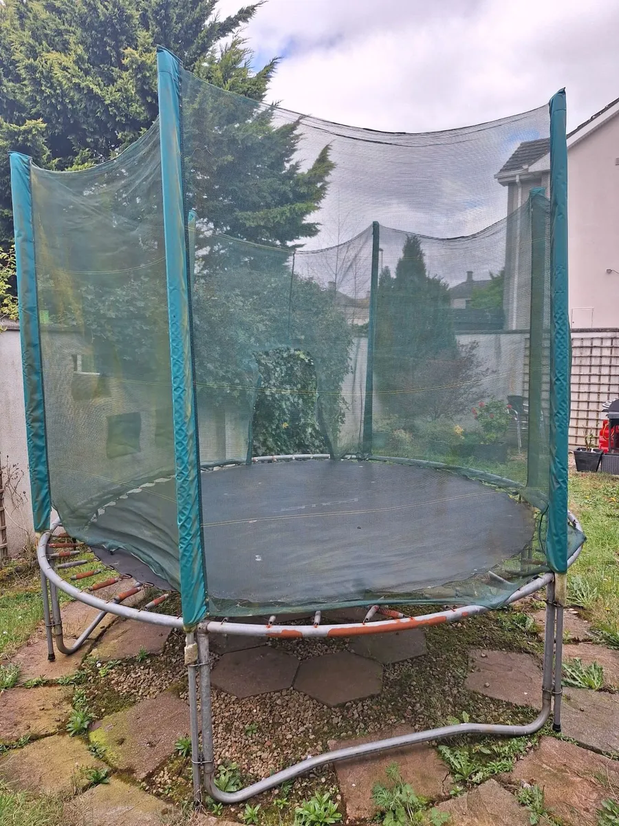 Trampoline - Image 3