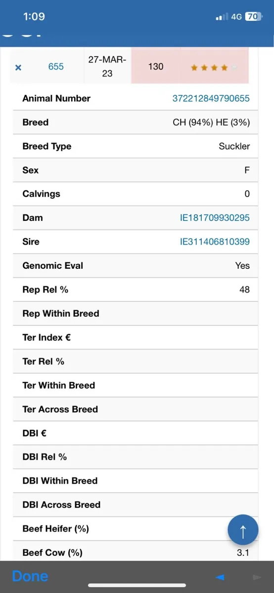 Foster cow - Image 4