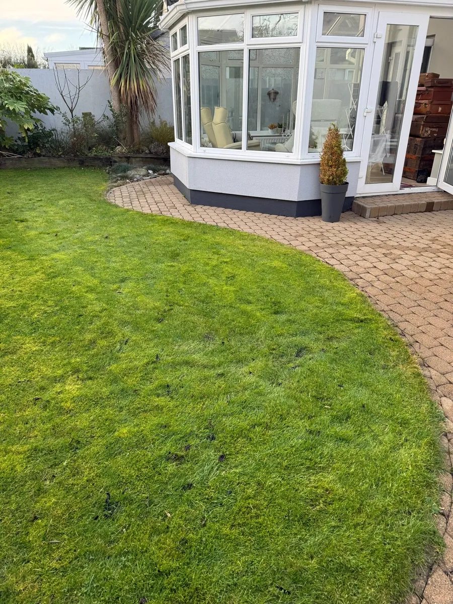 Beige Patio blocks - Image 4