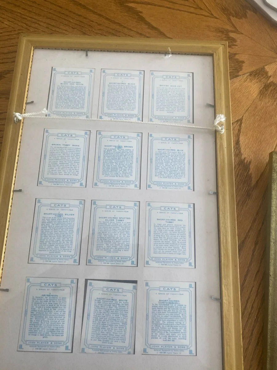 Framed Pictures - Image 2