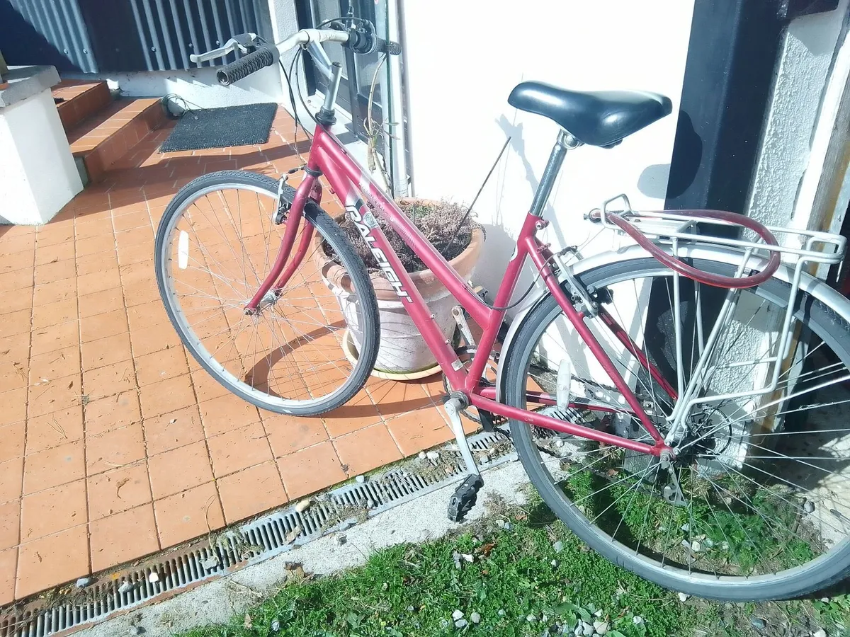 bicycle ladies - Image 2